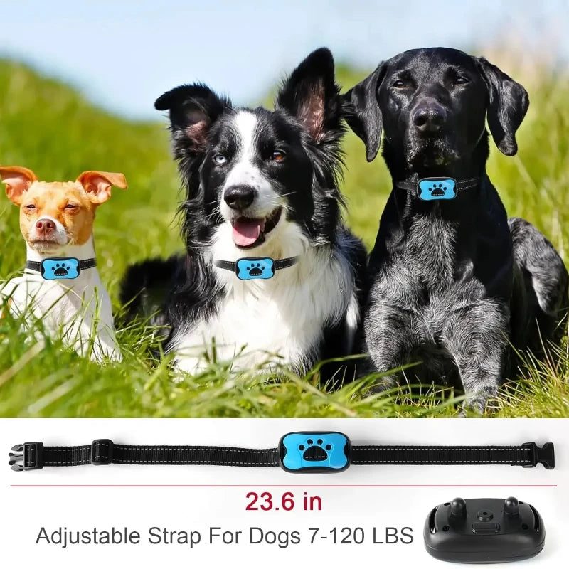 BarkShield™ Pro Collar