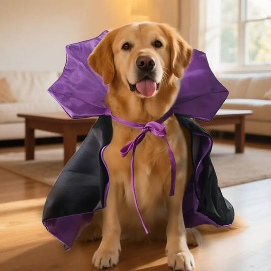 Enchanted Paws™ Magical Halloween Pet Cape