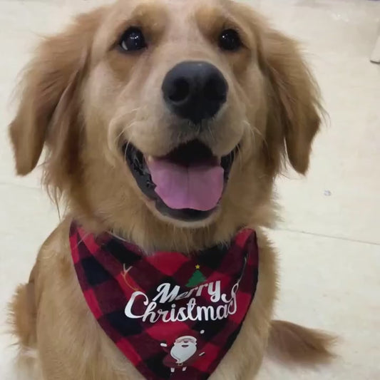 Noël Pup™ Premium Holiday Bandana